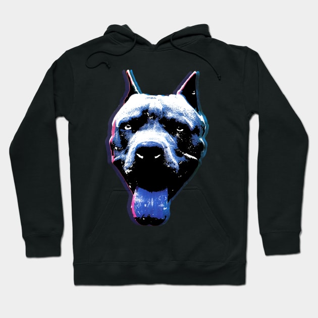 Pitbull Pop Hoodie by raidman84